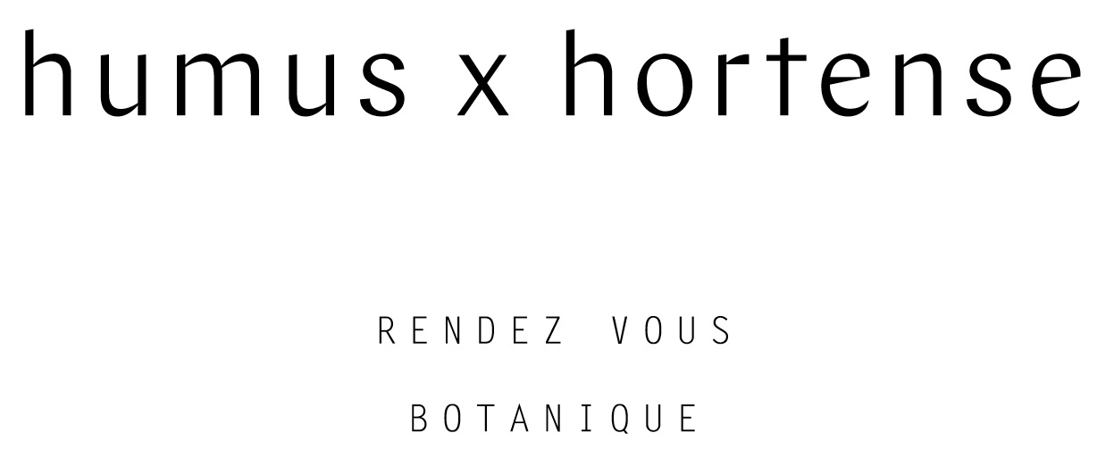 Humus x Hortense